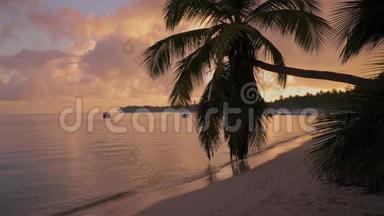 日出覆盖热带海滩和棕榈树。 早在异国情调的加勒比海岛。